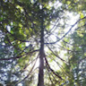 Meet your Posher, Ann-marie